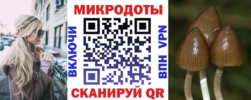 Галлюциногенные грибы Cubensis кракен ссылки Сольцы